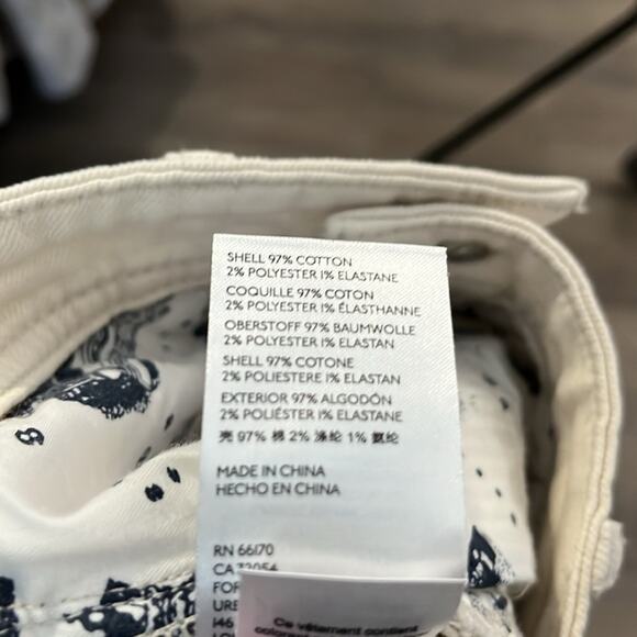 Anthropologie Pilcro Slim Boyfriend Blue and Tan Striped Shorts Size 27 - Picture 9 of 10